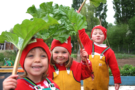 Growing our own food