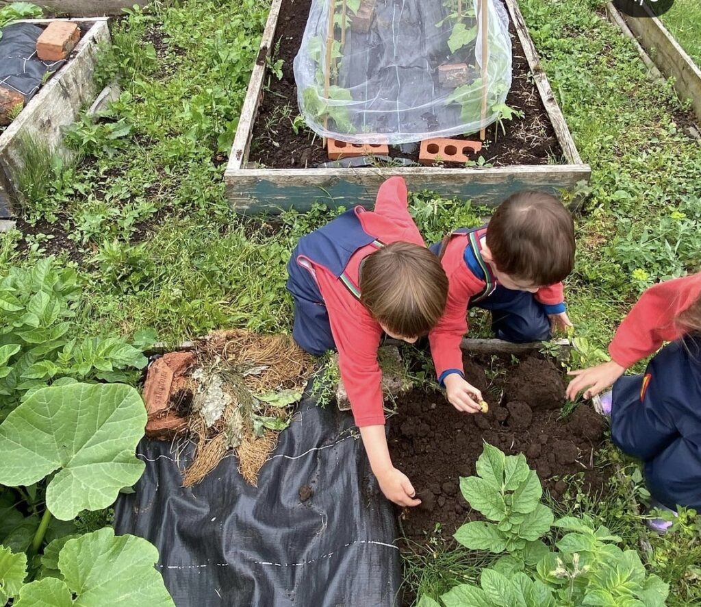 The allotment 