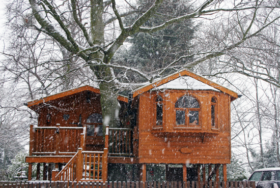 Treehouse in the snow